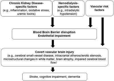 Covert vascular brain injury in chronic kidney disease